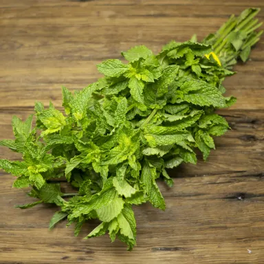 Mint, Peppermint