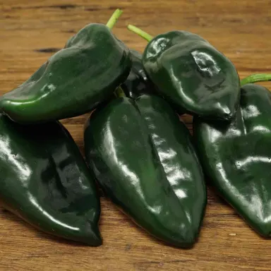 Poblano