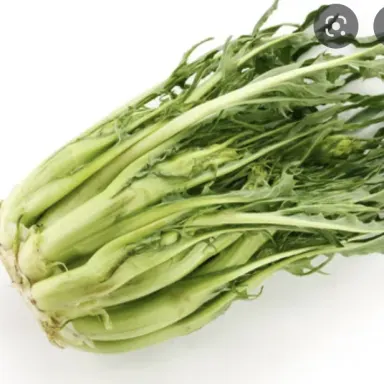 Puntarelle
