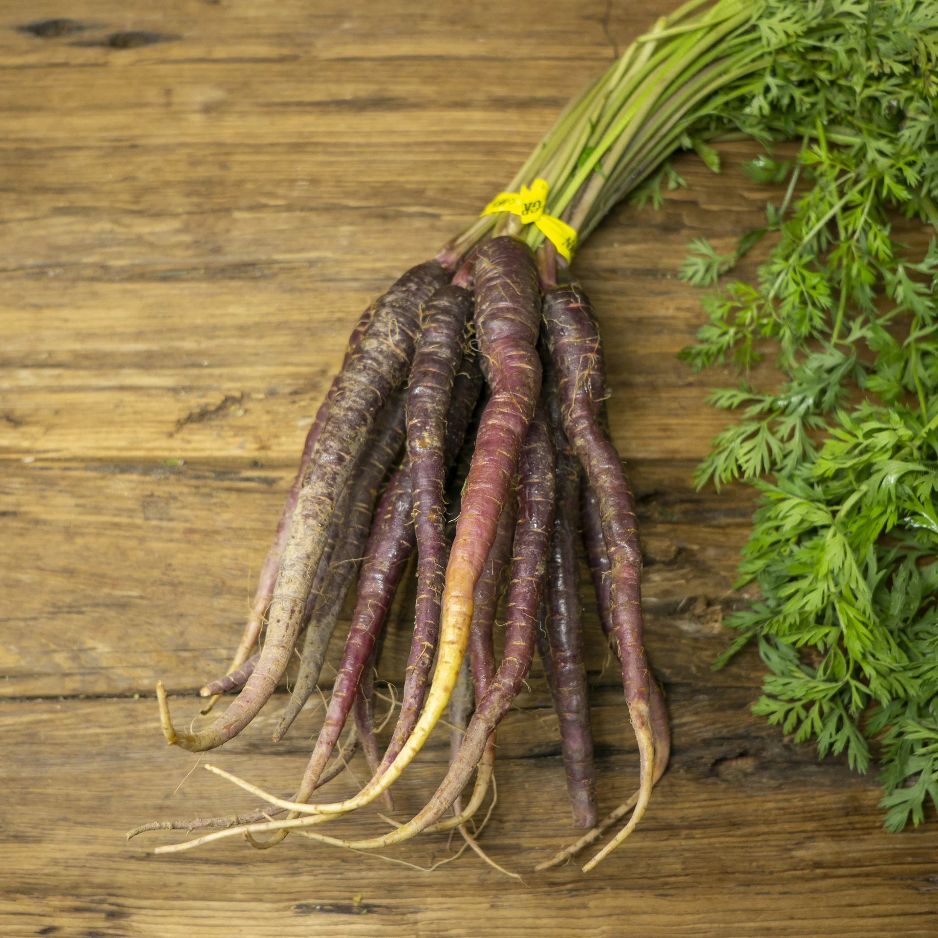 Purple Carrots