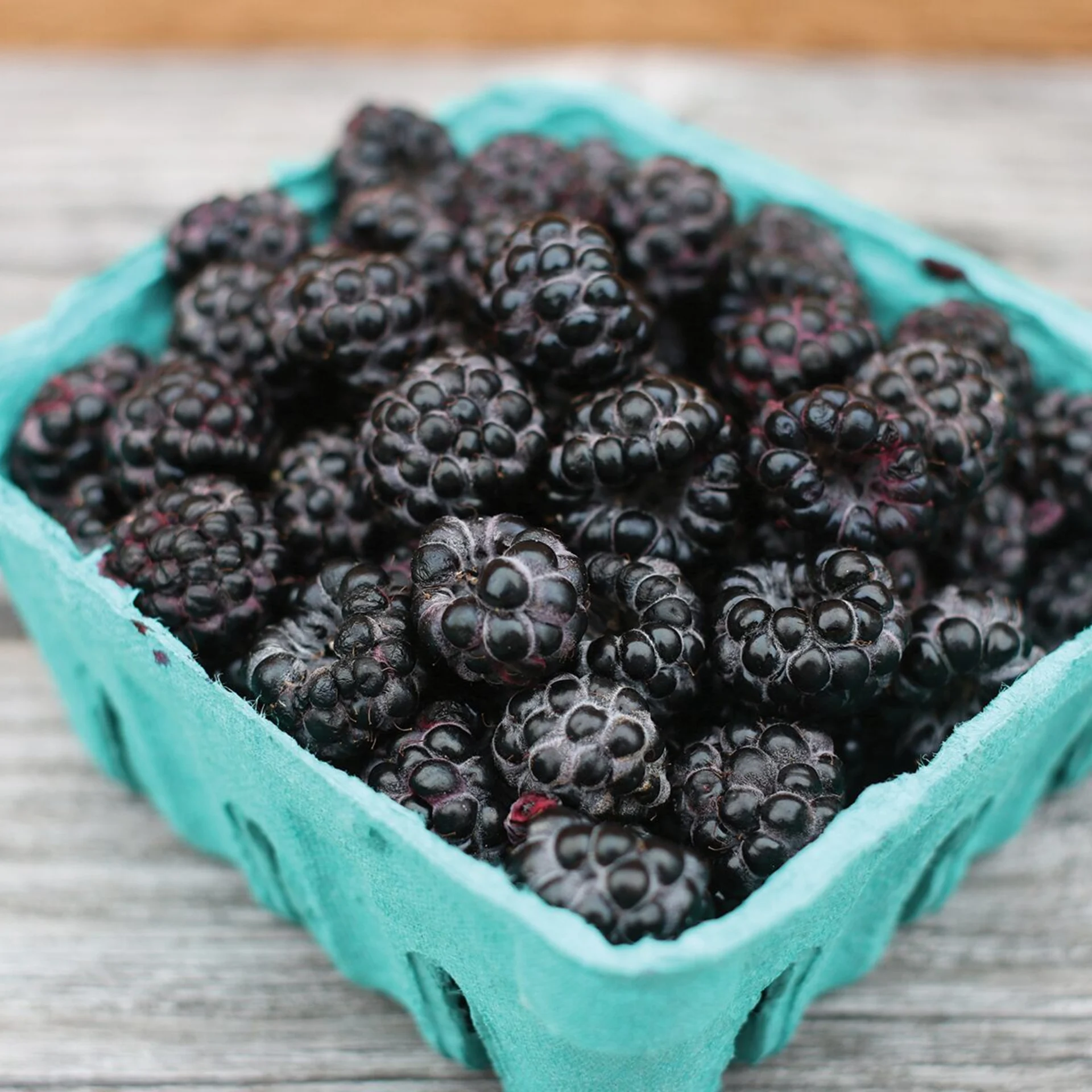 Raspberries, Black