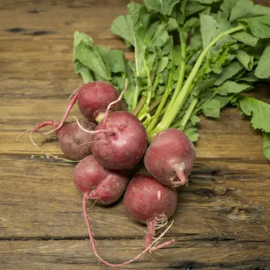 Red Radish