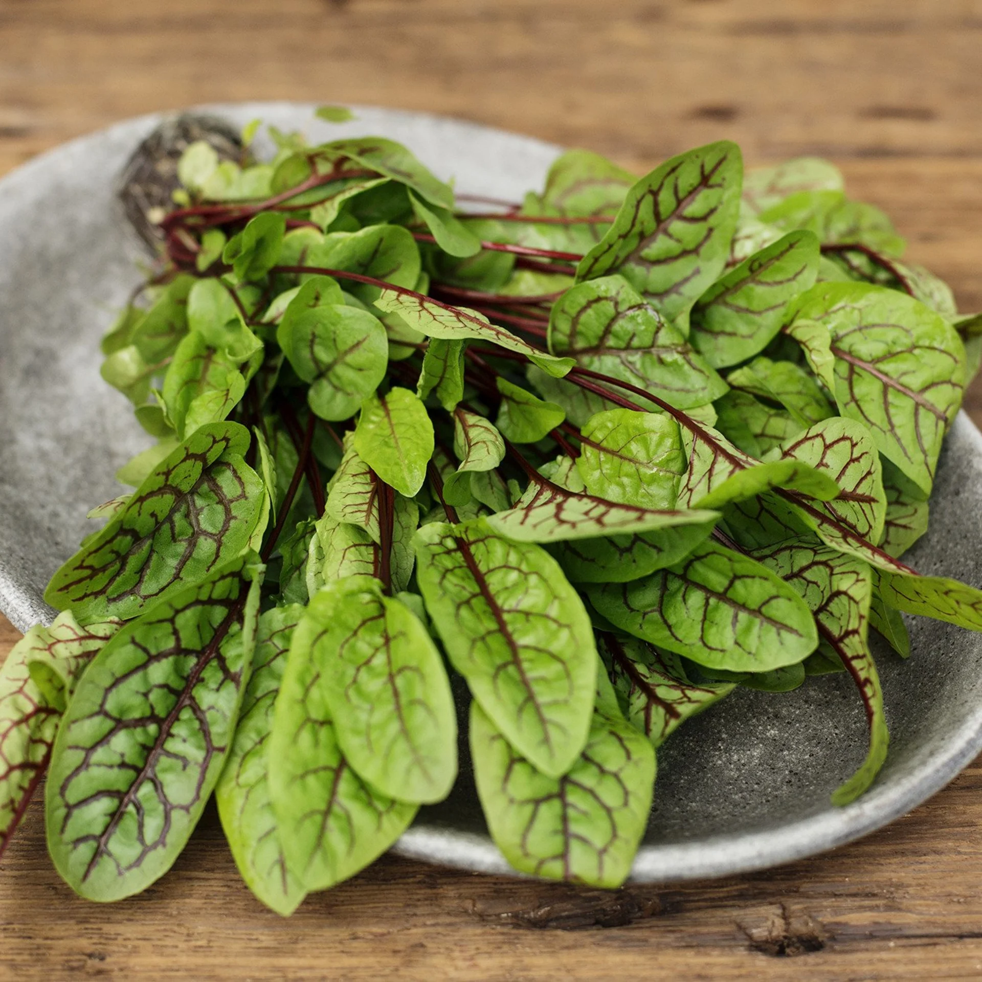 Red Sorrel Bouquet