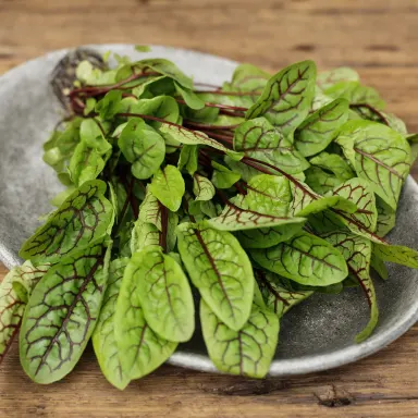 Red Sorrel Bouquet