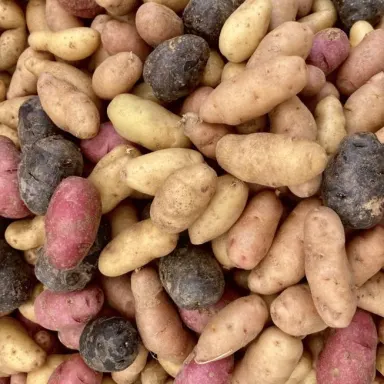 Roasting Mix