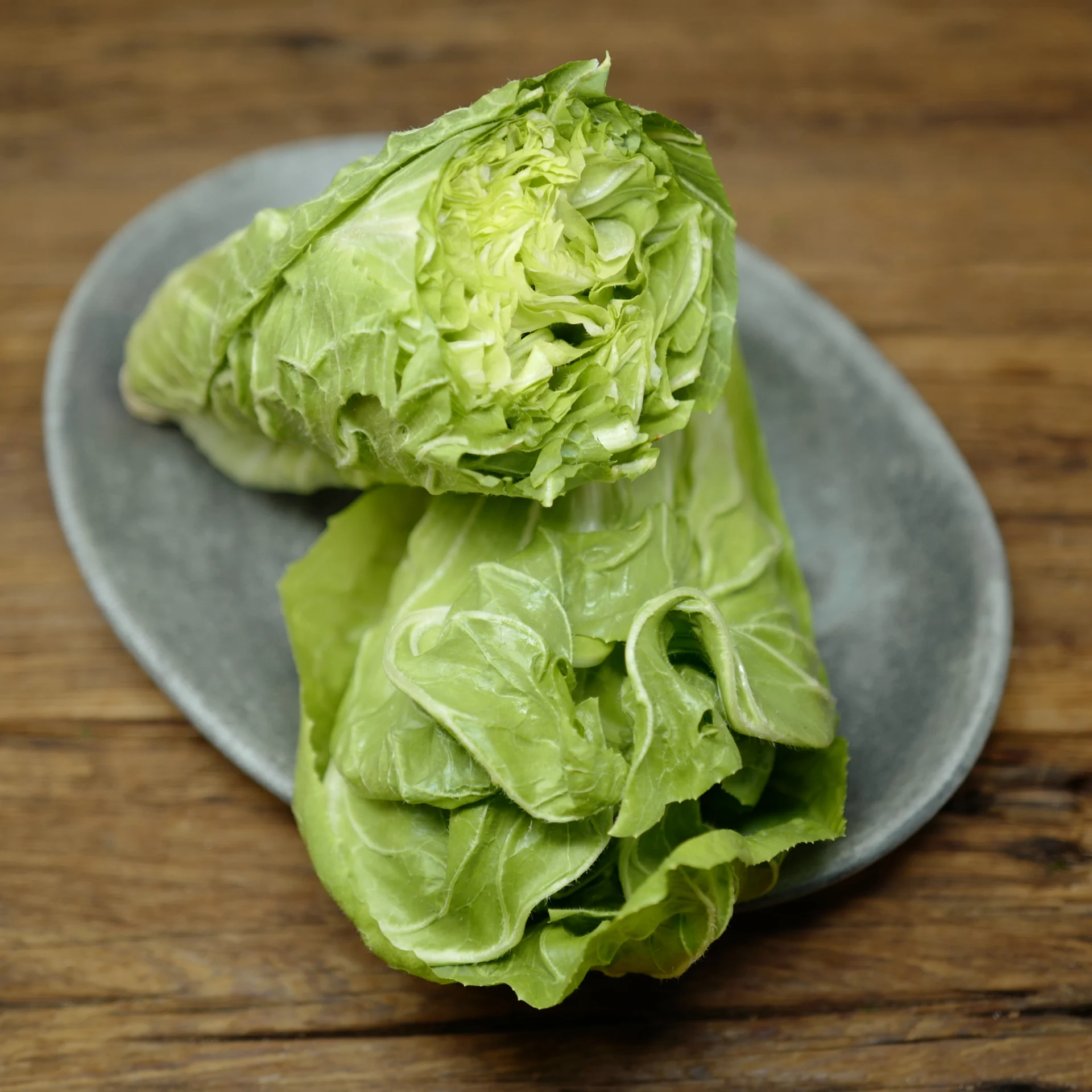 Romaine Lettuce, Green
