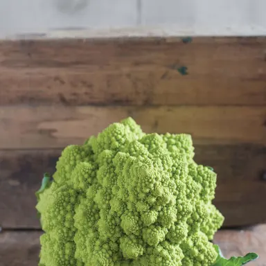 Romanesco