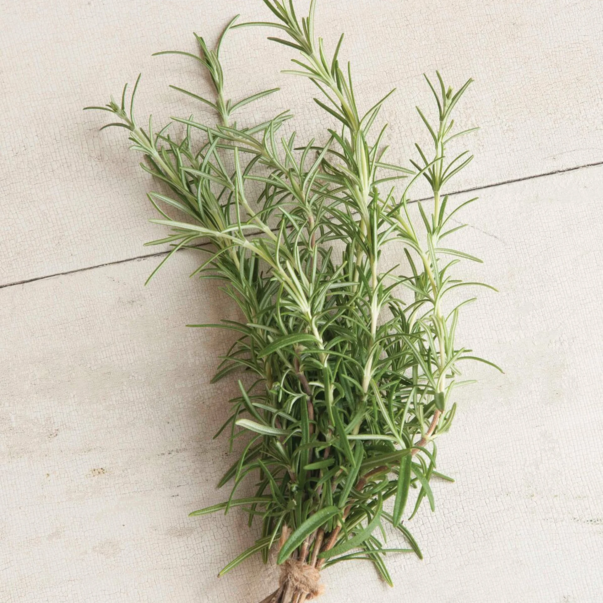 Rosemary