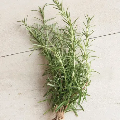 Rosemary
