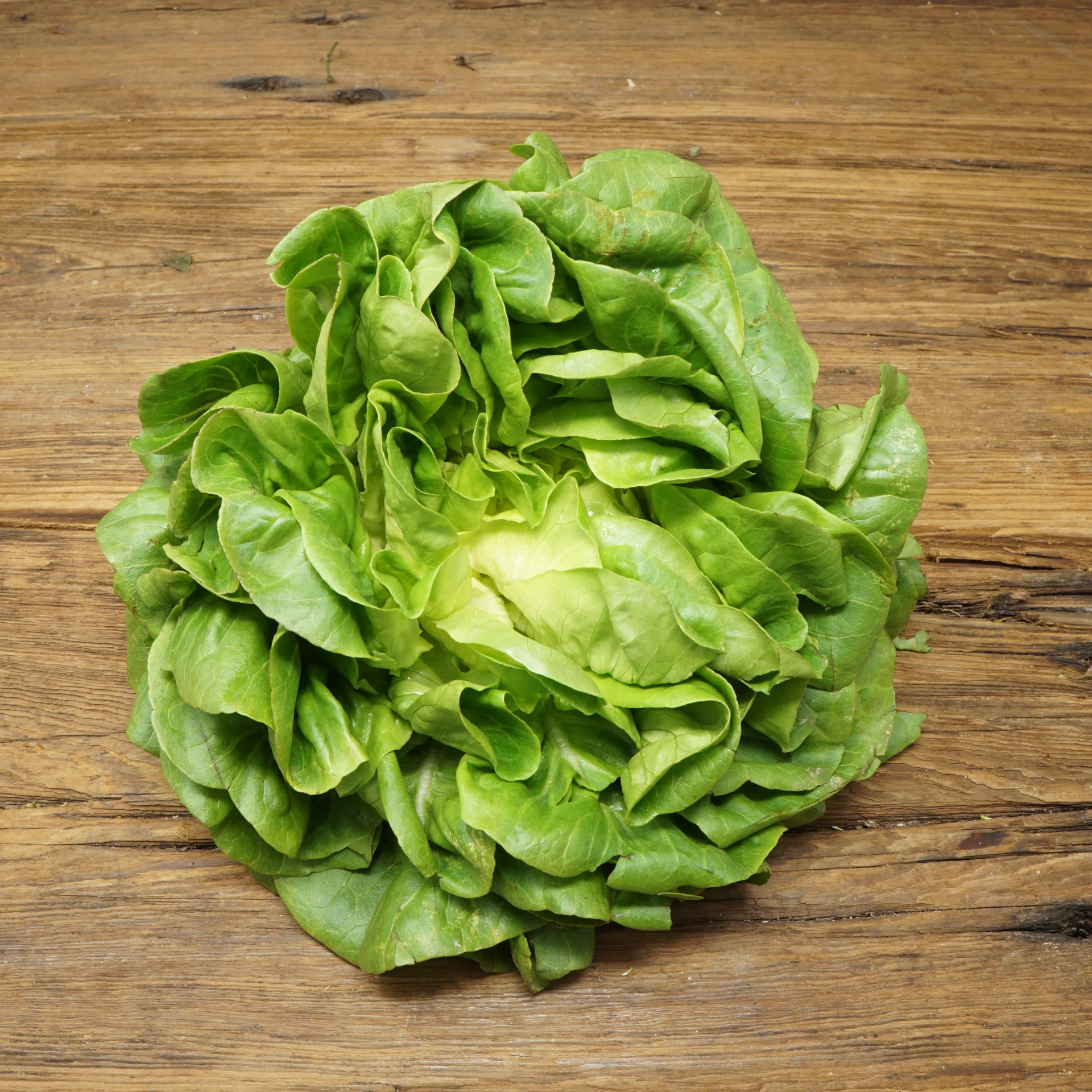 Salanova Butter, Green