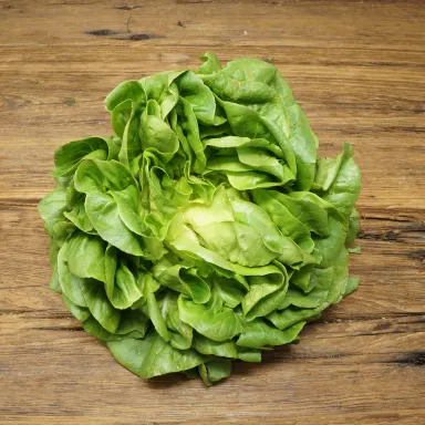 Salanova Butter, Green