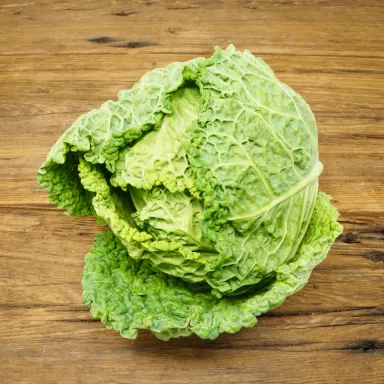Savoy Cabbage