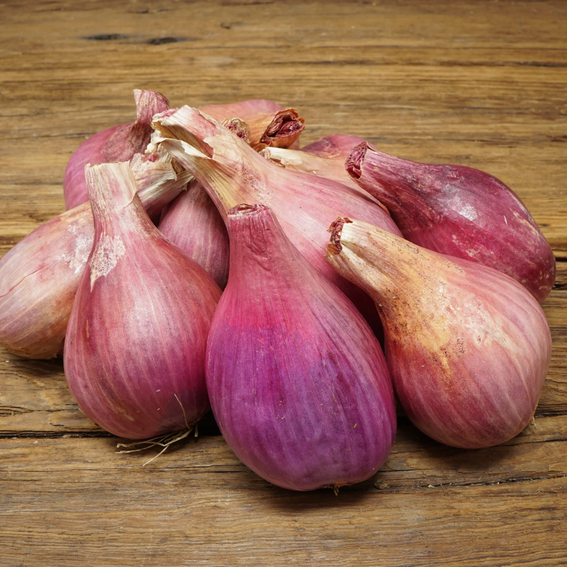 Shallots, Red