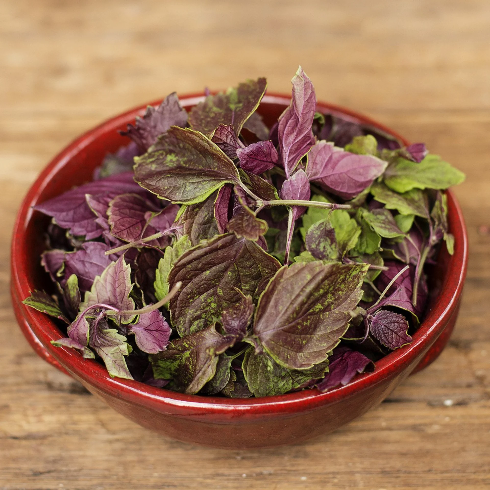 Shiso