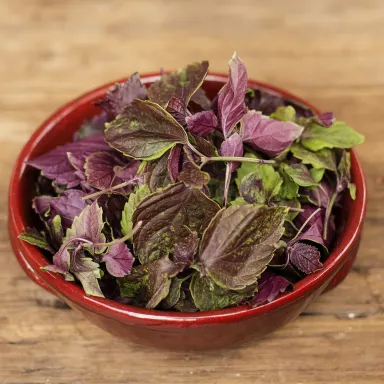 Shiso