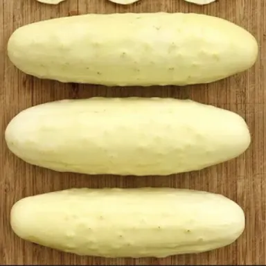 Slicing cucumbers, White