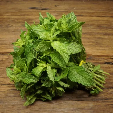 Mint, Spearmint