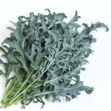 Spigarello Riccia