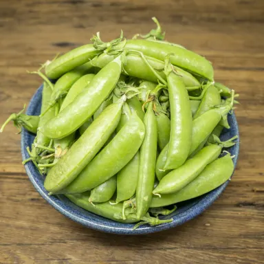 Sugar Snap, Green