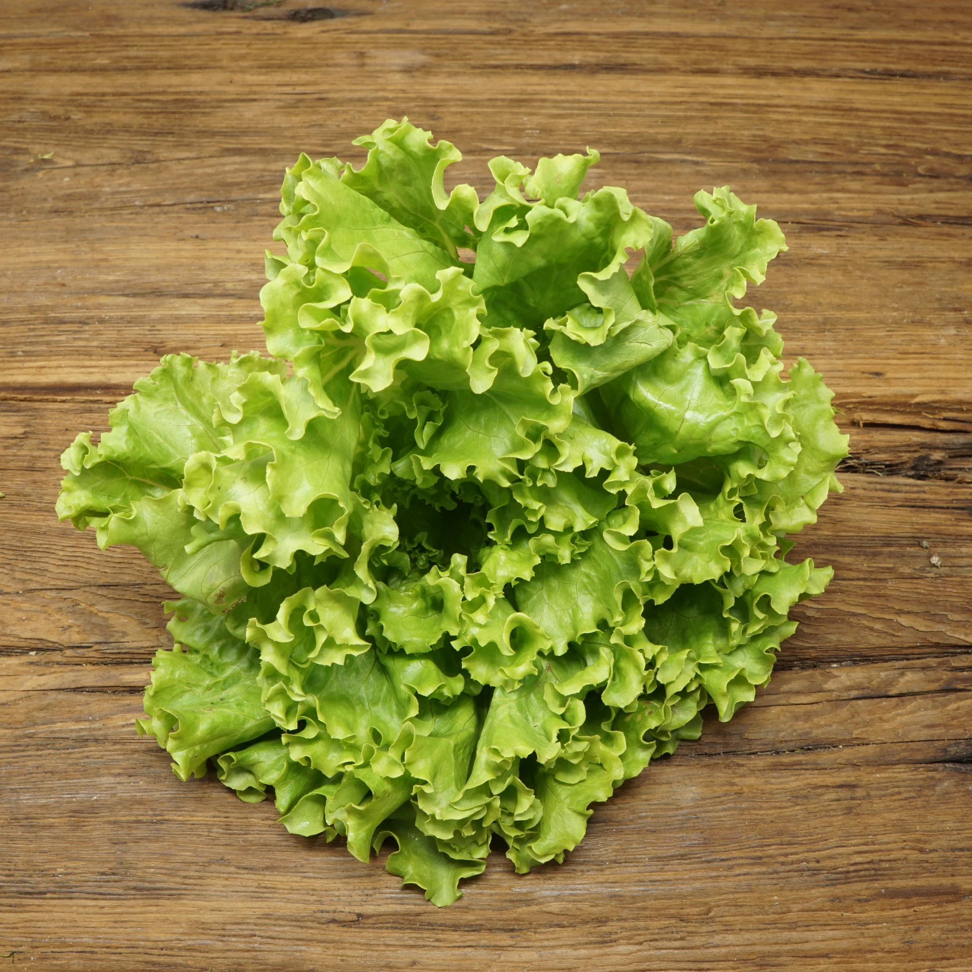 Summer Crisp, Green