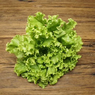 Summer Crisp, Green