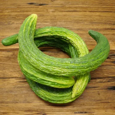 Suyo Long Japanese Cucumber