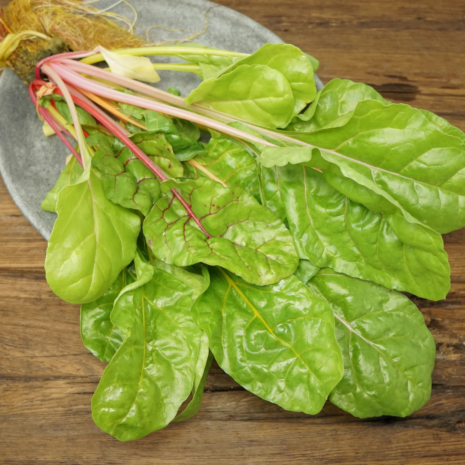Swiss Chard
