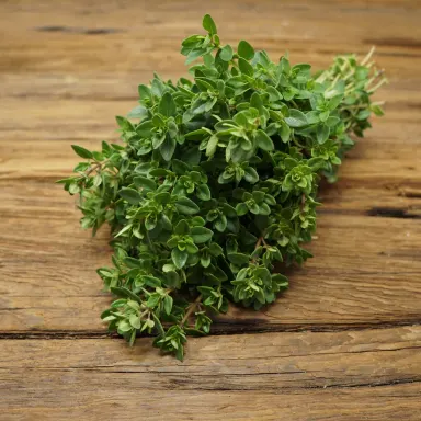 Thyme