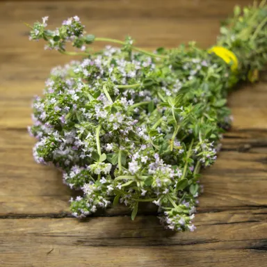 Thyme