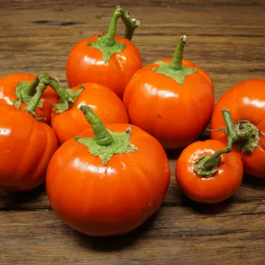 Turkish Eggplant