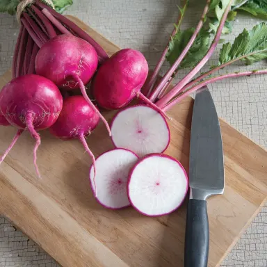 Turnip, Japanese Red