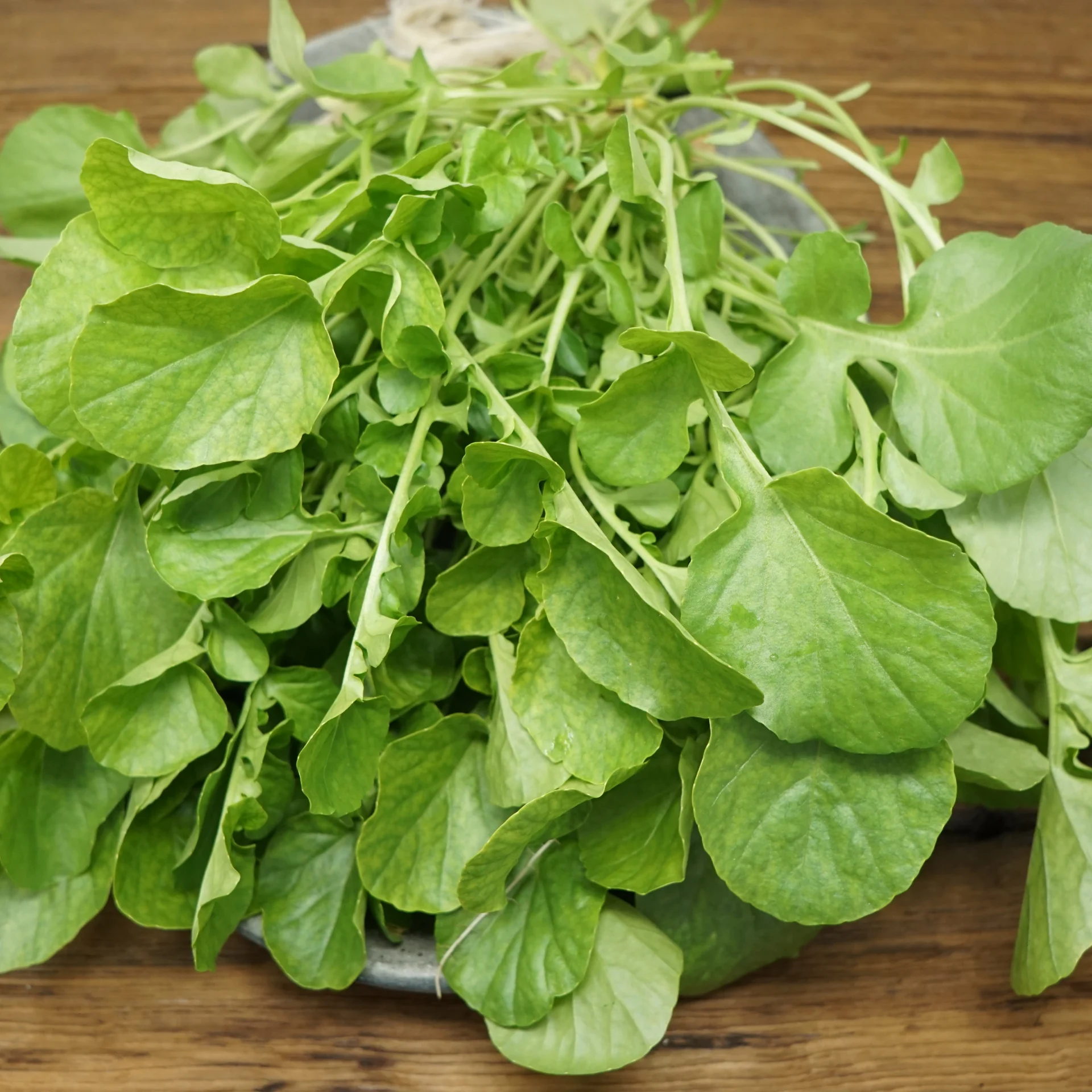 Upland Cress 