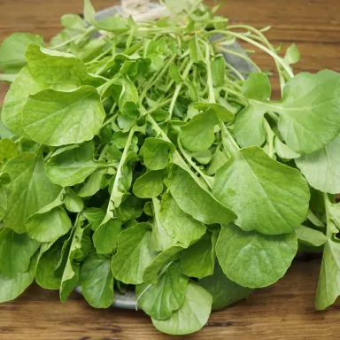 Upland Cress 