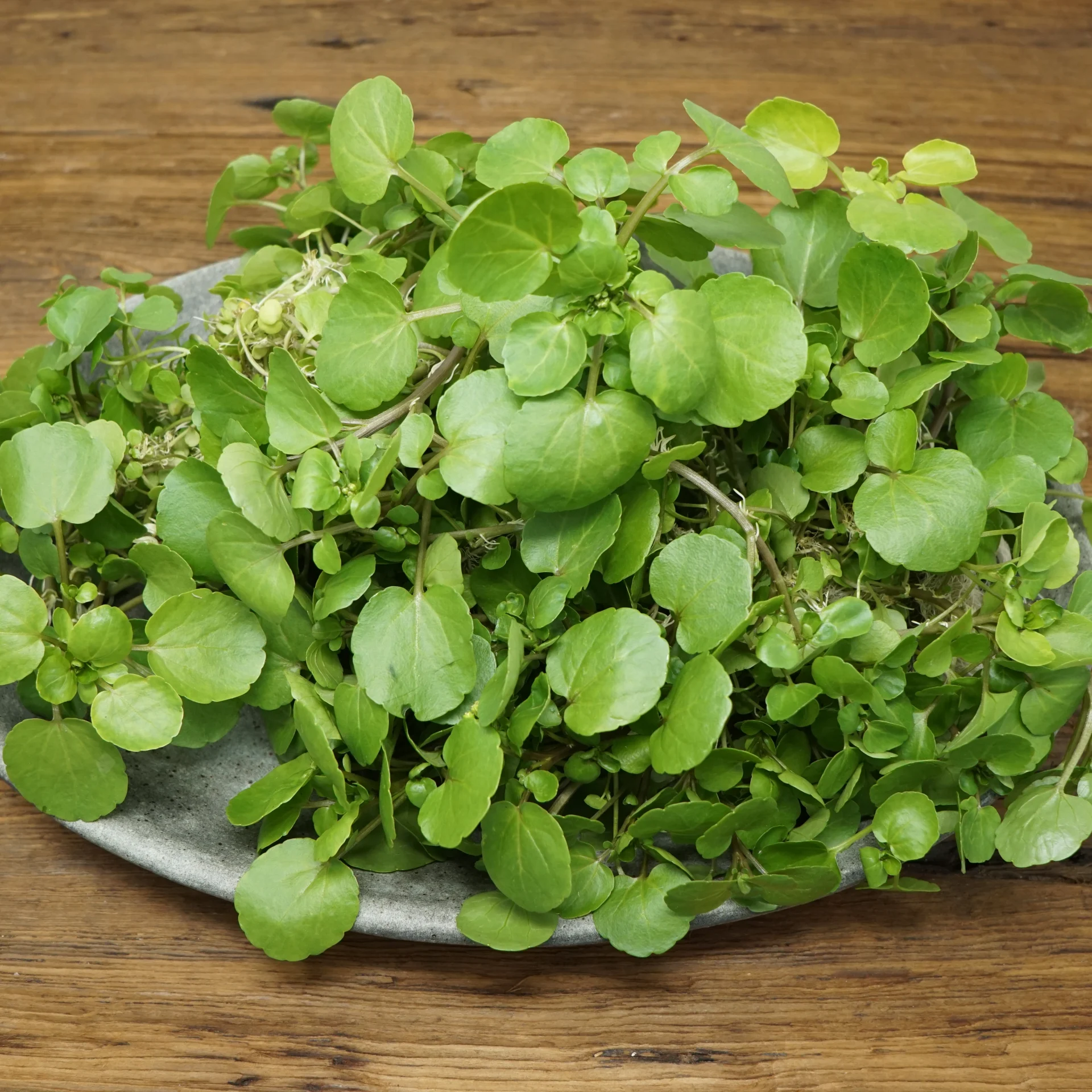 Watercress