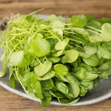 Watercress Bouquet