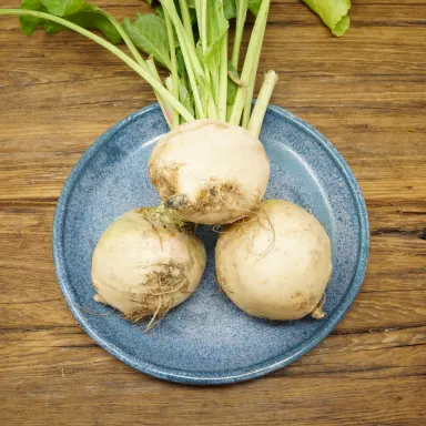 White Beets