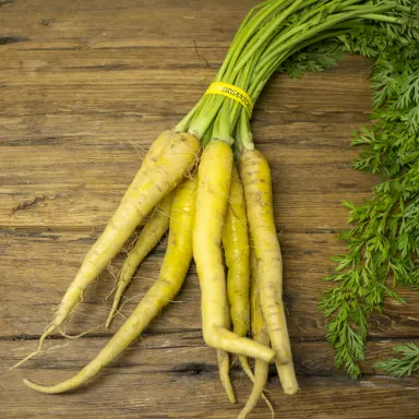 Yellow carrots