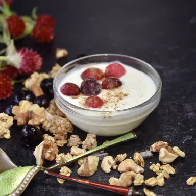 Yogurt - Plain