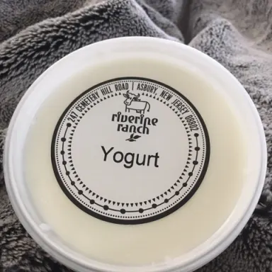 Yogurt