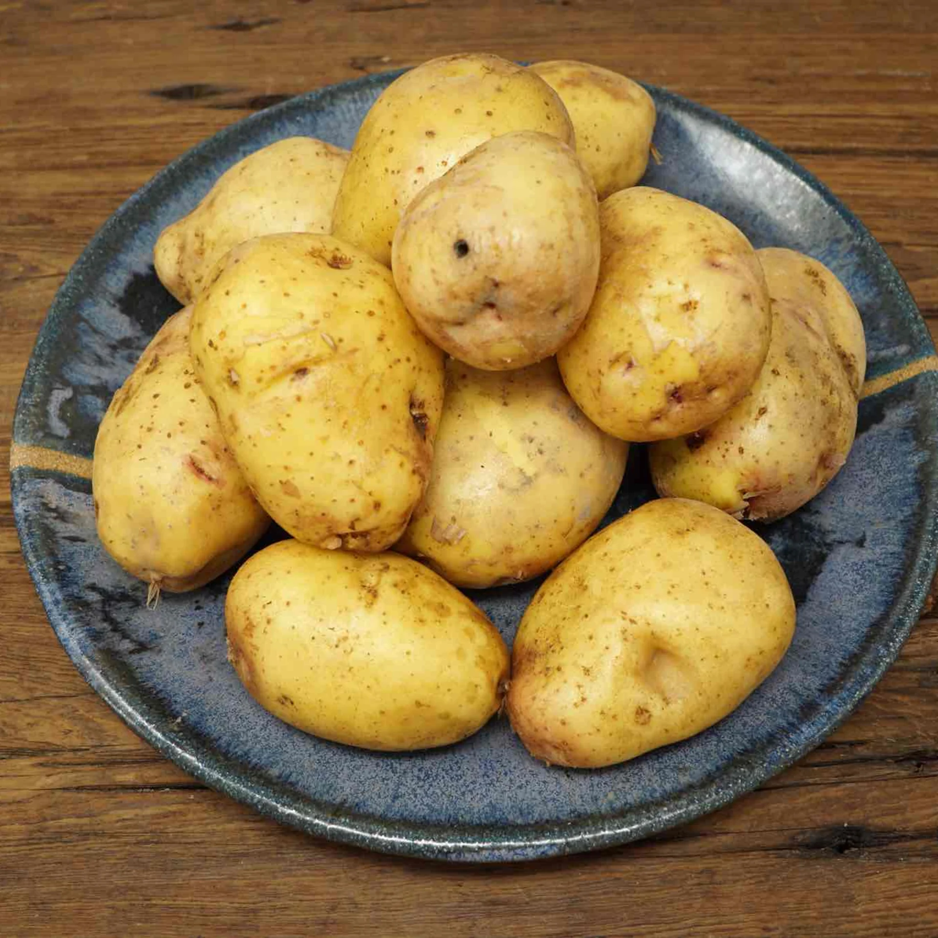 Yukon Gold NEW