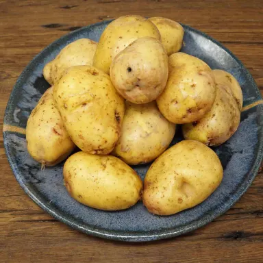 Yukon Gold NEW