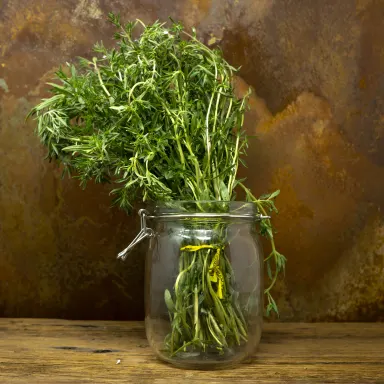Summer Savory