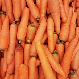 Carrotss